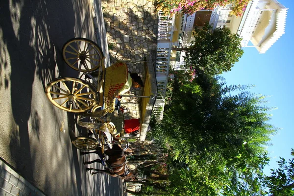 View Horse Cart Road Turkey — Stock Photo, Image