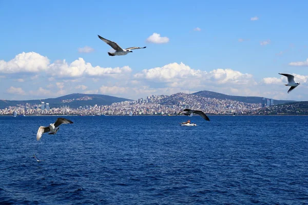 Bela Vista Para Mar Das Ilhas Príncipe Istambul — Fotografia de Stock