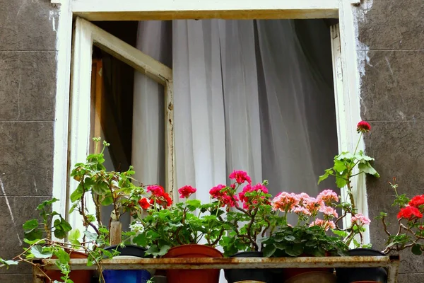 カーテン付き窓からの眺め トルコ風 — ストック写真