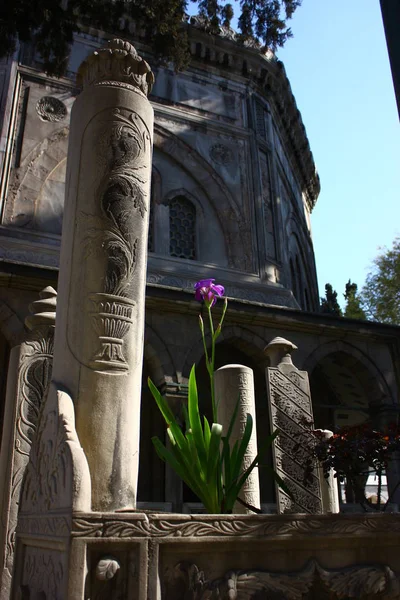 View Graves Tombs Suleymaniye Mosque Turkey — Stockfoto