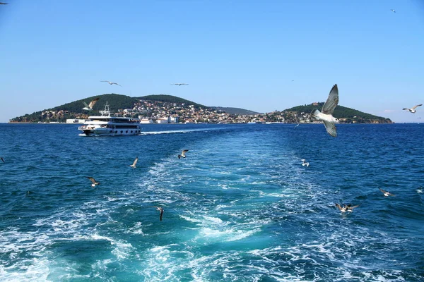 Krásný Výhled Moře Prince Islands Istanbul — Stock fotografie