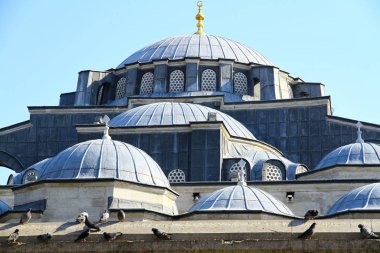 Pigeons on the roof of a mosque, Eminonu, Istanbul Turkey.