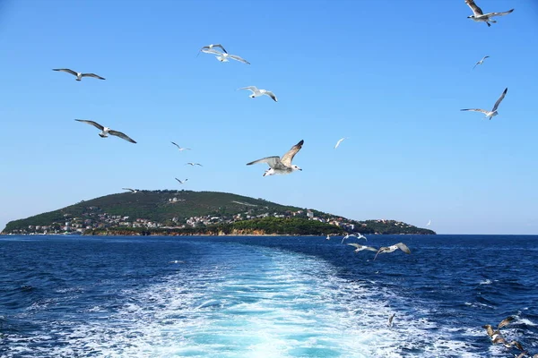 Krásný Výhled Moře Prince Islands Istanbul — Stock fotografie