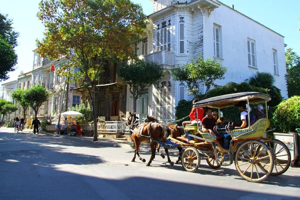 Vista Del Carro Caballos Camino Turquía — Foto de Stock