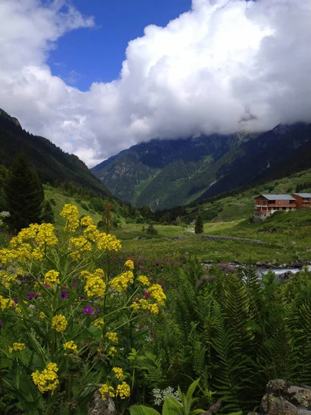 Bela Vista Paisagem Montanha — Fotografia de Stock