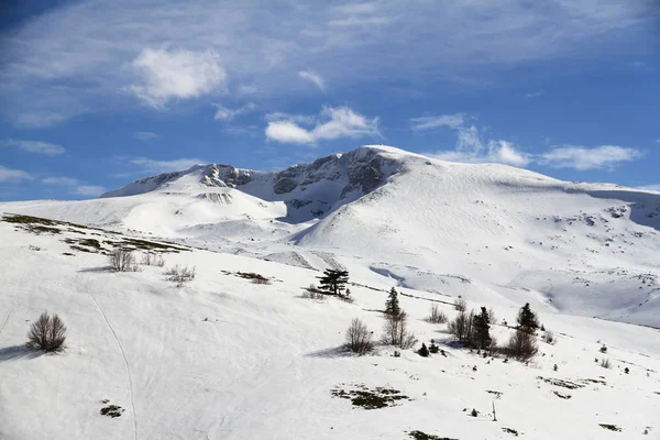 Schneelandschaft Mit Bäumen — Stockfoto