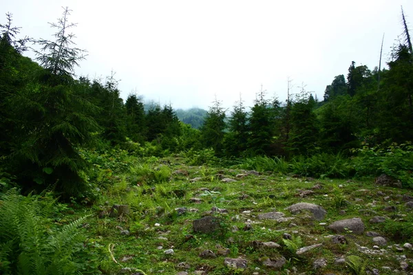 Prachtig Uitzicht Het Berglandschap — Stockfoto