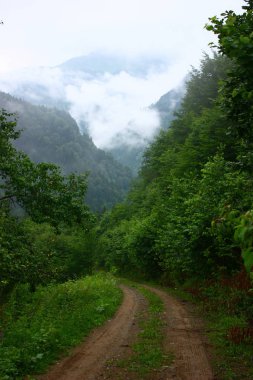 Yolun güzel manzarası, dağ manzarası, 