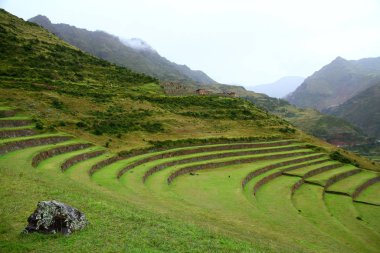 Circular shape Inca terraces on the slopes of Sacred Valley in Pisac Archaeological Complex in Peru. clipart