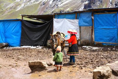 Vinicunca Gökkuşağı Dağları, Peru 'nun karlı tepelerinde atlar ve insanlar için barınaklar.