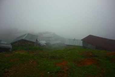 Türkiye 'de sis platosu manzarası.