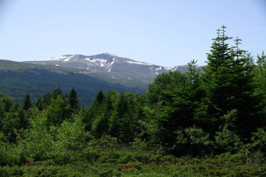 Bursa 'daki Uludağ dağlarının zirvesine bir manzara.