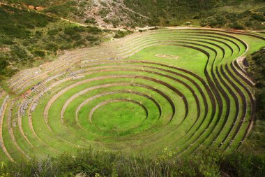 Peru 'daki Pisac Arkeoloji Kompleksi' ndeki Kutsal Vadi 'nin yamaçlarında dairesel şekilli İnka terasları var..