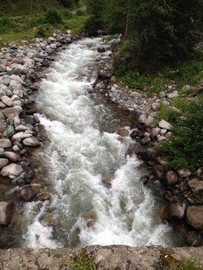 Ormanın engebeli nehrin güzel manzarası