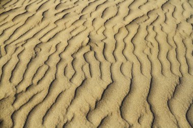 Peru 'daki Huacachina vahasının etrafındaki kum tepeleri.