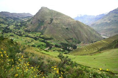 Peru 'daki Pisac Arkeoloji Kompleksi' ndeki Kutsal Vadi 'nin yamaçlarında dairesel şekilli İnka terasları var..