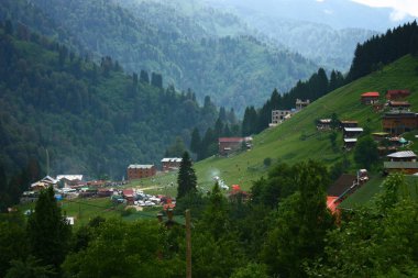 An amazing view of Kackar Mountains with pine trees on the Pokut highlands, in Rize Turkey.