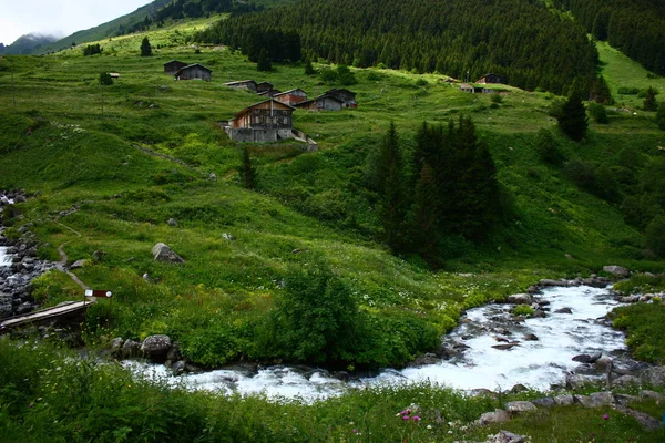 A beautiful view from Elevit upland of Rize in Black Sea region of Turkey.