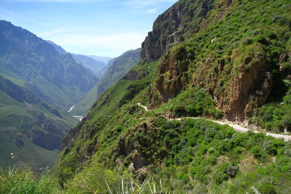 Colca Kanyonu Bir Nehir Kanyonu Peru — Stok fotoğraf