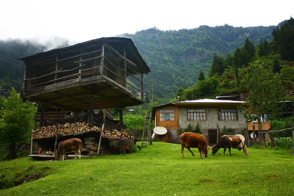 Traditional Granary View Camili Village Black Sea Region Rize Turkey — ストック写真