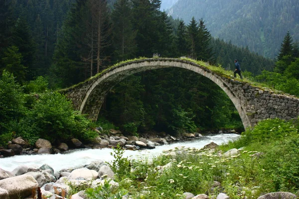 Historical Stone Bridge Firtina Valley Black Sea Region Rize Turkey — Fotografia de Stock