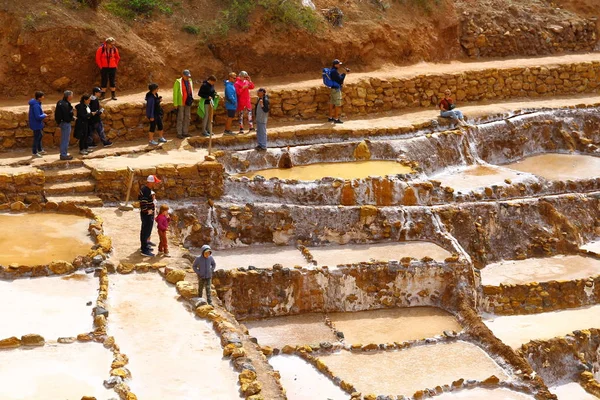 Maras Salt Mines Sacred Valley Peru April 2019 View Terraces — 스톡 사진