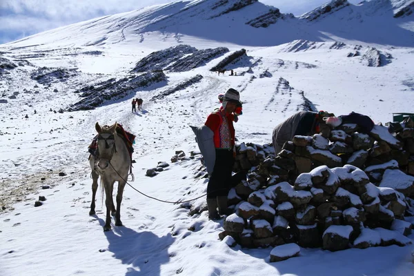 Vinicunca Rainbow Mountains Perù Uomo Con Cavallo — Foto Stock