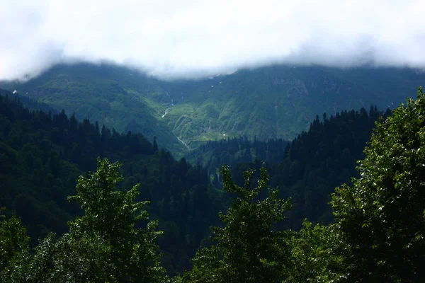 Hermoso Paisaje Nublado Del Valle Macahel Artvin Turquía —  Fotos de Stock