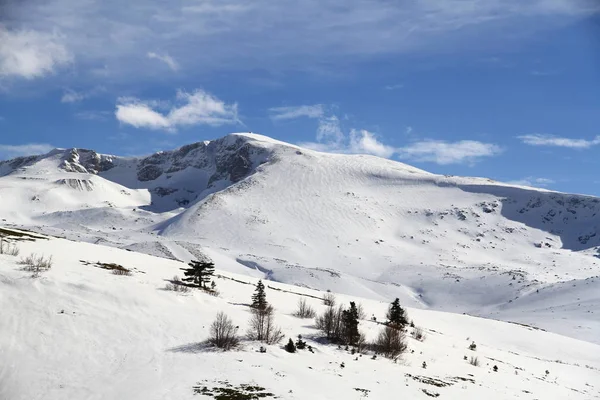 Schneelandschaft Mit Bäumen — Stockfoto