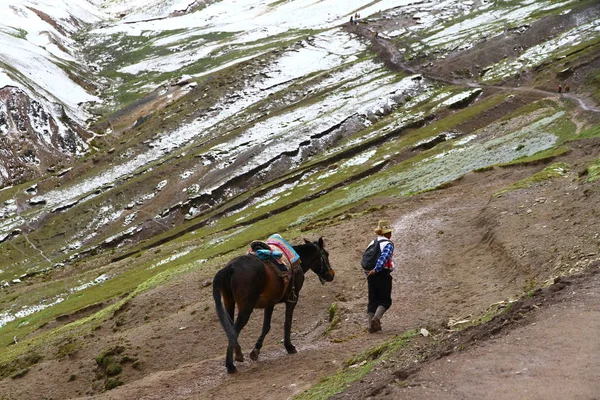 Vinicunca Rainbow Mountains Peru Man Met Paard — Stockfoto