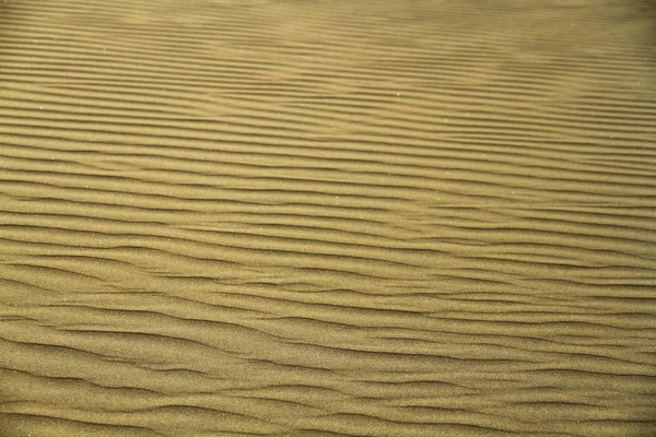 Dunes Sable Autour Oasis Huacachina Pérou — Photo
