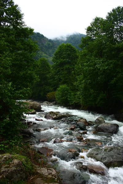 Belle Vue Sur Forêt Rugueuse Rivière — Photo