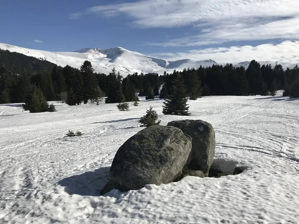 Ein Blick Vom Uludag Nationalpark Bursa Truthahn — Stockfoto