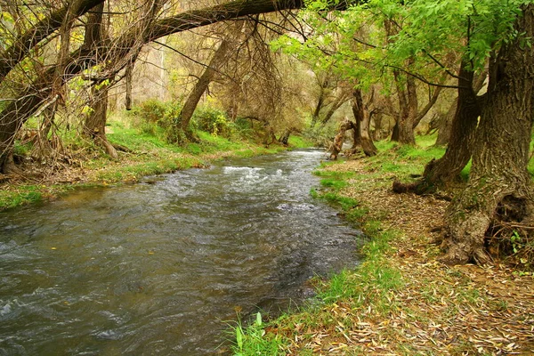 Belle Vue Sur Rivière Melendiz Depuis Vallée Ihlara Cappadoce Turquie — Photo