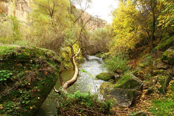 Belle Vue Sur Rivière Melendiz Depuis Vallée Ihlara Cappadoce Turquie — Photo