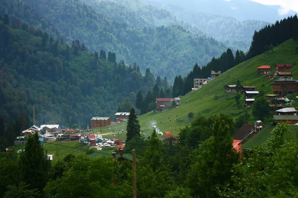 Amazing View Kackar Mountains Pine Trees Pokut Highlands Rize Turkey — Foto de Stock