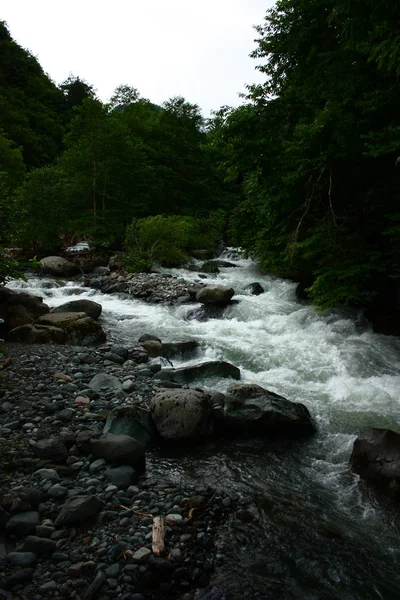 Ormanın Engebeli Nehrin Güzel Manzarası — Stok fotoğraf