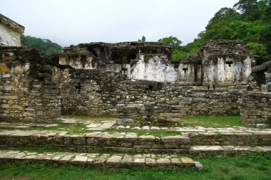 Palenque Maya Harabeleri, Chiapas, Meksika. Palenque antik Maya harabeleri Chiapas 'ta