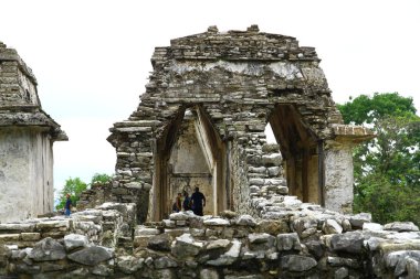 Palenque Maya Harabeleri, Chiapas, Meksika - 3 Haziran 2019. Palenque antik Maya harabeleri Chiapas 'ta