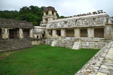 Palenque Maya Harabeleri, Chiapas, Meksika. Palenque antik Maya harabeleri Chiapas 'ta
