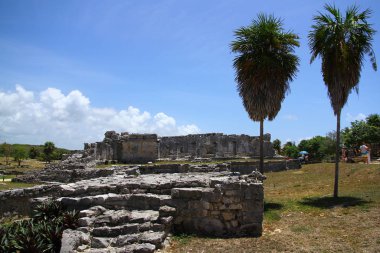  Tulum Arkeolojik Alanı 'ndaki Maya kalıntıları Meksika' nın en iyi korunmuş kıyı bölgelerinden biridir..