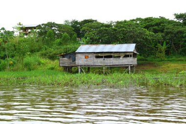 Iquitos Peru 'daki Amazon Nehri' nin durgun sularında bir kulübe.