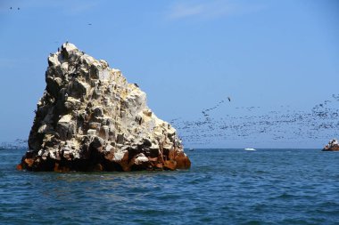 Paracas, Peru 'daki su kuşları, pelikanlar, deniz aslanları, karabataklar ve penguenler gibi birçok hayvana ev sahipliği yapan Islas Ballestas manzarası.