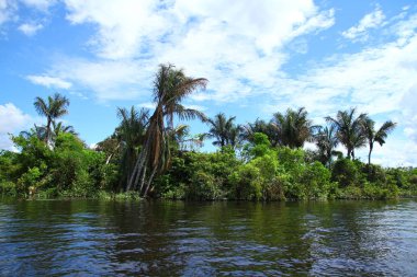 beautiful landscape of Amazon River, Iquitos Peru.