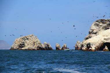 Paracas, Peru 'daki su kuşları, pelikanlar, deniz aslanları, karabataklar ve penguenler gibi birçok hayvana ev sahipliği yapan Islas Ballestas manzarası.