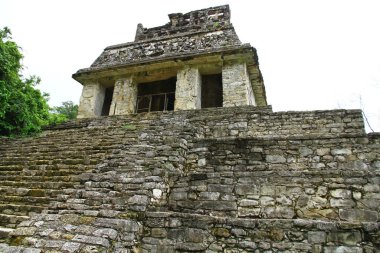 Palenque Maya Harabeleri, Chiapas, Meksika. Palenque antik Maya harabeleri Chiapas 'ta