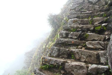 Machu Picchu Antik Şehir, Urubamba Nehri Vadisi, Peru. 15. yüzyıldan kalma bir İnka kalesi olan Machu Picchu, Peru 'nun güneyindeki Doğu Cordillera' da yer almaktadır..