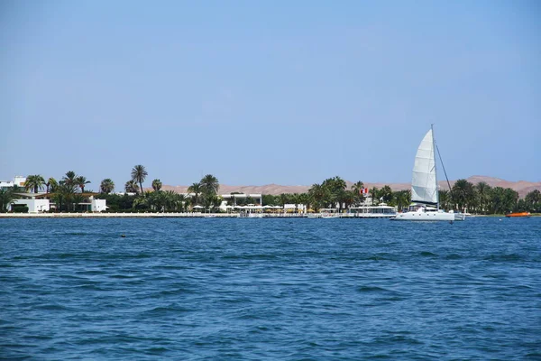 Paracas Peninsula Peru April 2019 View Coastline Paracas Peninsula People — Stock Photo, Image