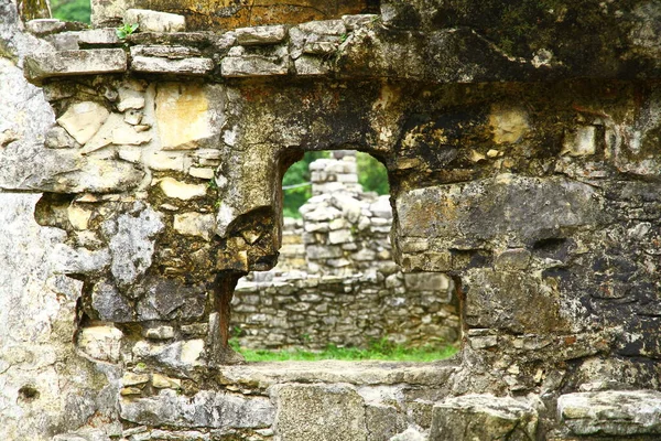 Palenque Mayan Ruins Chiapas Mexiko Palenque Starověké Mayské Zříceniny Chiapas — Stock fotografie