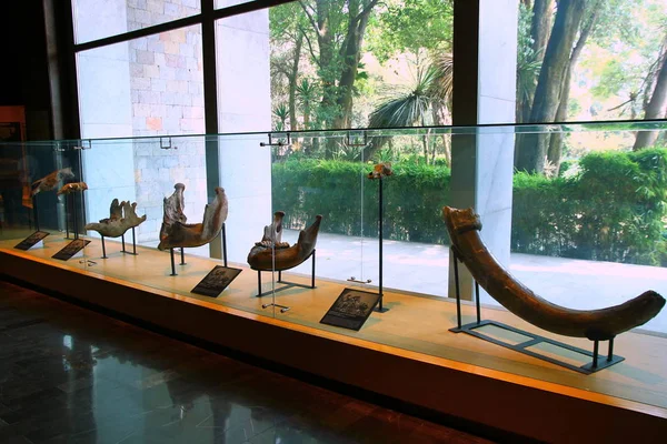 国立人类学博物馆 墨西哥城 2019年5月30日 博物馆的内部景观 馆藏量最大 是墨西哥城参观人数最多的博物馆 — 图库照片